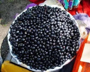 Jamun